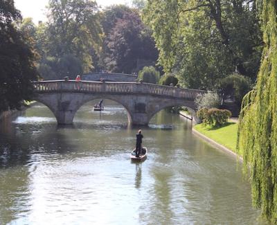 Image of the river cam