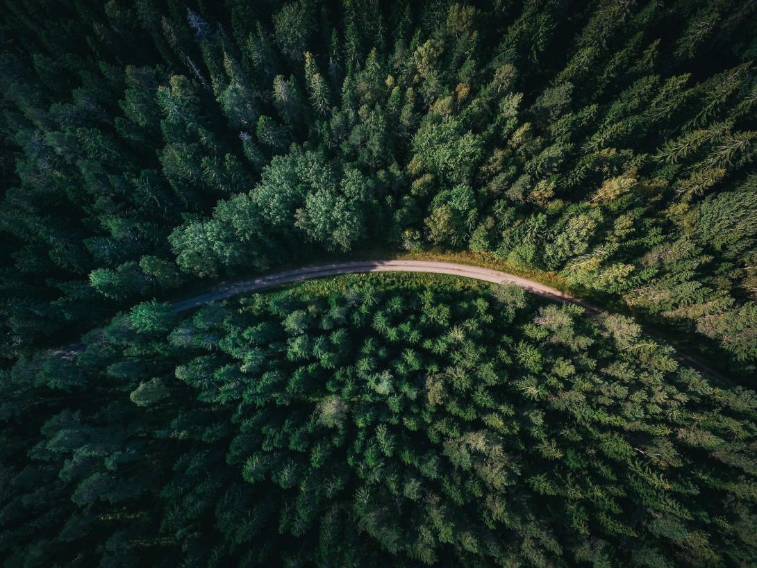 geranimo-qzgn45hsen0-unsplash